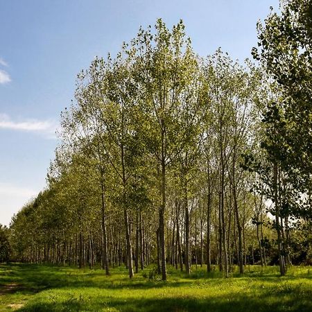 Masseria Giosole Capua Εξωτερικό φωτογραφία