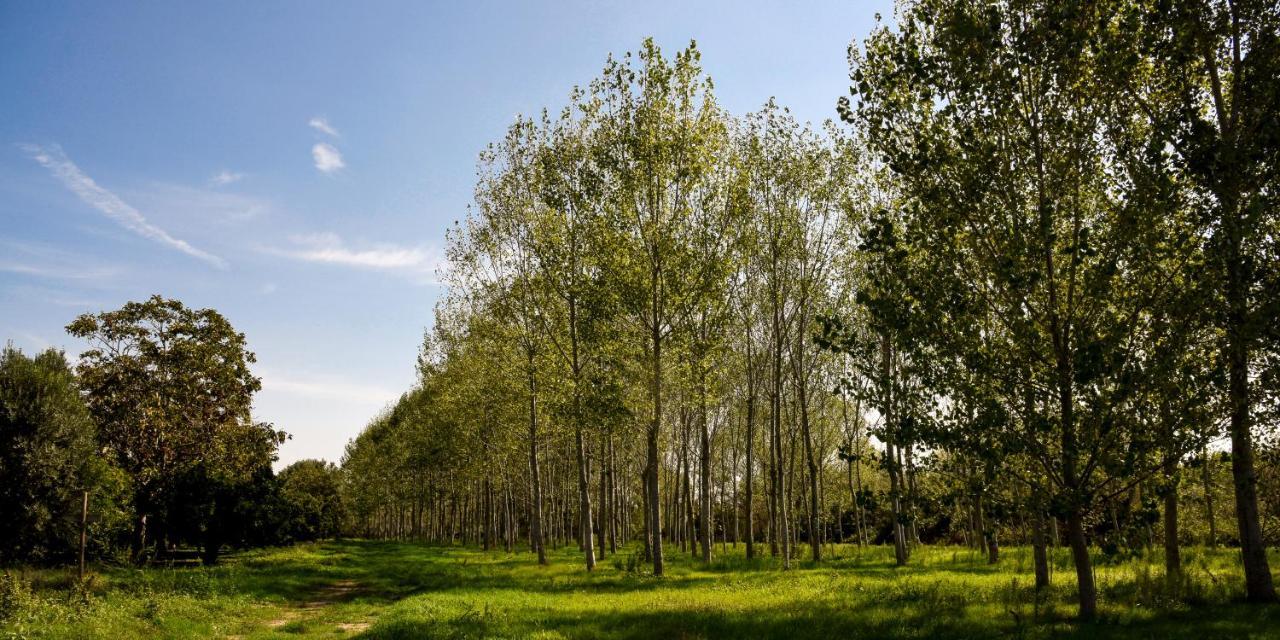 Masseria Giosole Capua Εξωτερικό φωτογραφία